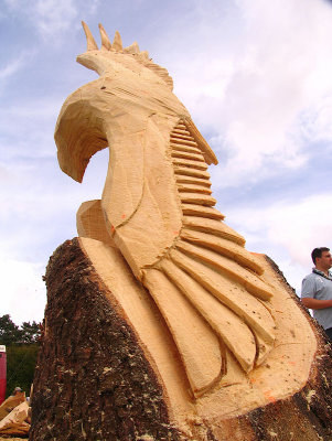 Carve Carrbridge 2011