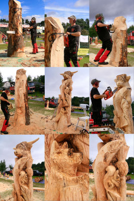 Carve Carrbridge 2011