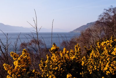 Yellow on Loch Ness