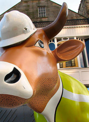 Edinburgh Cow Parade