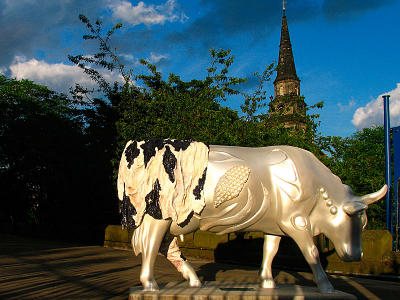 Edinburgh Cow Parade