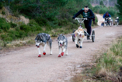 25th Husky Race