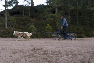 25th Husky Race