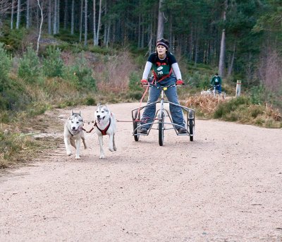 25th Husky Race