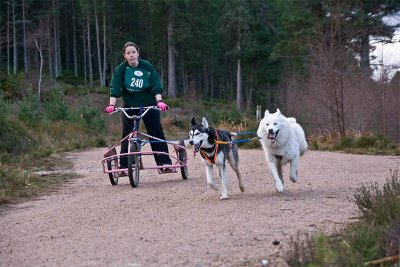 25th Husky Race