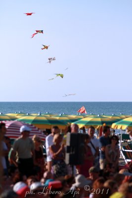 _IMG_9645.jpg