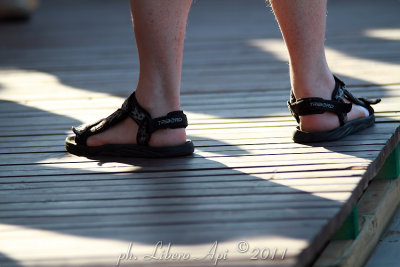 _IMG_9657.jpg