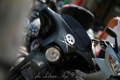 _IMG_7846.jpg