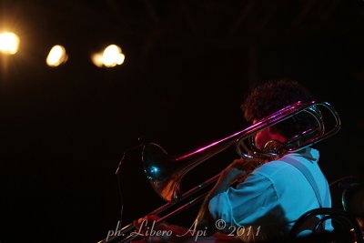 _IMG_8347.jpg
