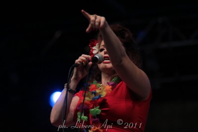_IMG_8591.jpg
