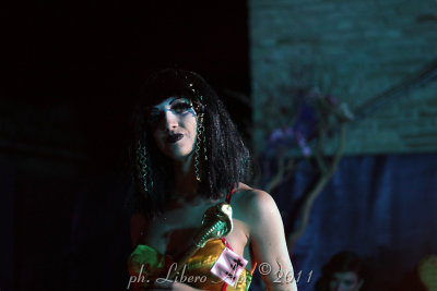 _IMG_0714.jpg