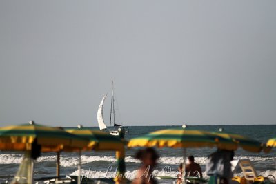 _IMG_3053.jpg