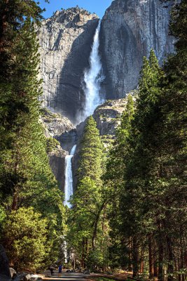 10 Upper-Lower Yosemite Falls 0629.jpg