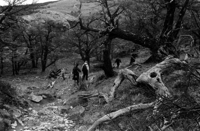g4/10/432110/3/59234142.MonteFitzRoy04.jpg