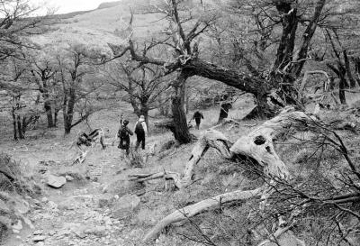 g4/10/432110/3/59234143.MonteFitzRoy05.jpg