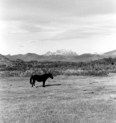 Parque Nacional los Glaciares