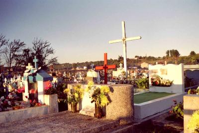 Dalcahue - campsite