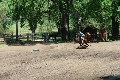 DSC06265ffa.JPG