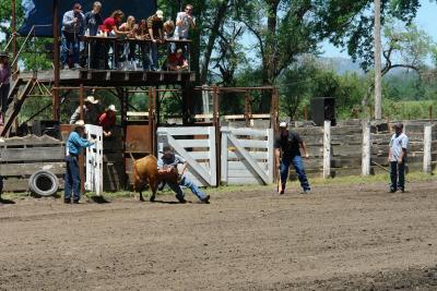 DSC06275ffa.JPG