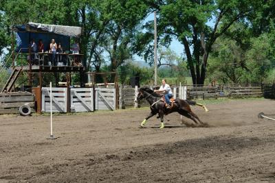 DSC06295ffa.JPG