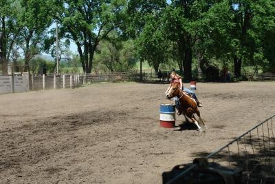 DSC06389ffa.JPG