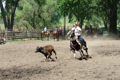 DSC06446  missed.JPG