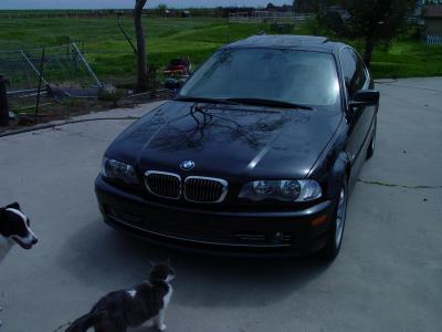 PICTURE 3366.JPG