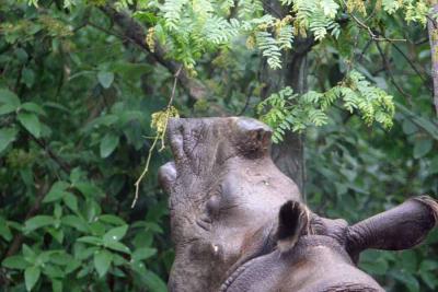 Cincinnati Zoo May 2006