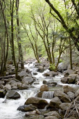 Stream_MG_0112.jpg