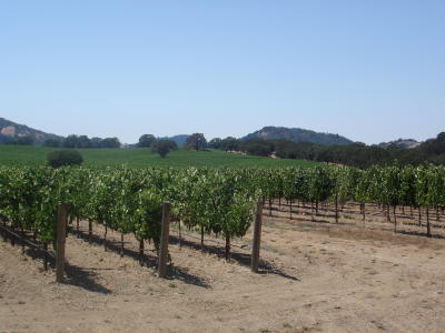081405_calistoga_to_gieserville2