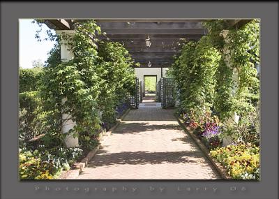 Larry Stowe Gardens.jpg