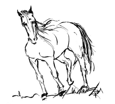 Horse-Doodle.jpg