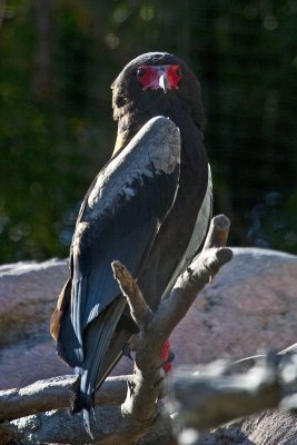 IMG_4265.jpg