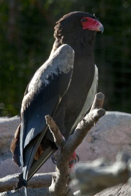 IMG_4270.jpg