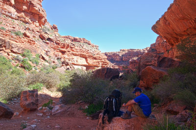IMG_7104.jpg
