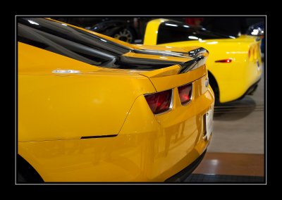 IMG_7926-2.jpg