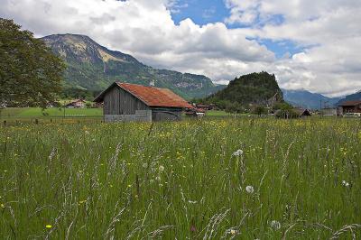 _MG_1101-01 copy.jpg
