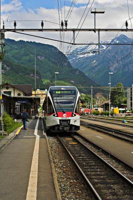 _MG_1174-02 copy.jpg