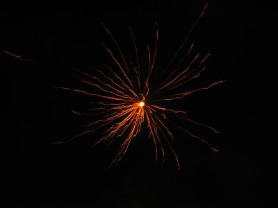firework 014 Custom.jpg