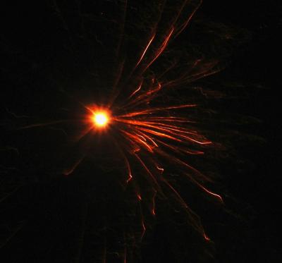 firework 015 Custom.jpg