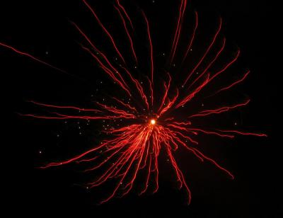 firework 016 Custom.jpg