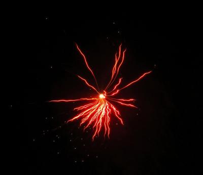 firework 020 Custom.jpg