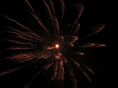 firework 023 Custom.jpg