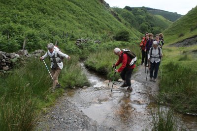 un petit cours d'eau