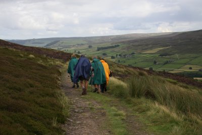 g4/10/590110/3/145349086.R9D5d766.jpg