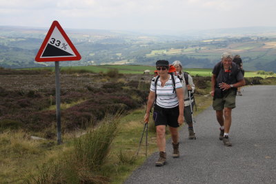 33% en monte