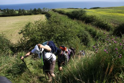 des montes sur le plat