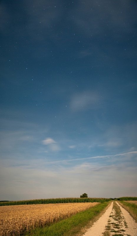 Pano vertical