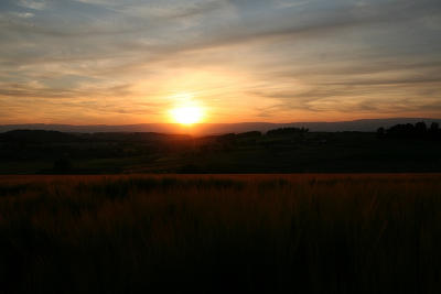 Heitenried Sunset I