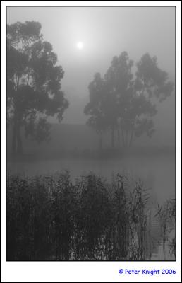 mist basin 3499_sm_bw.jpg